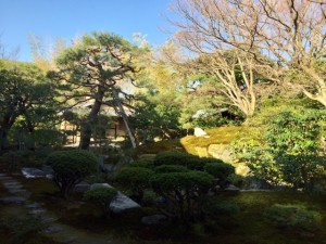 IMG_8763